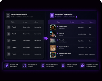 Organizar música de Deezer con metadatos automáticamente