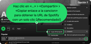 Im Web-Player