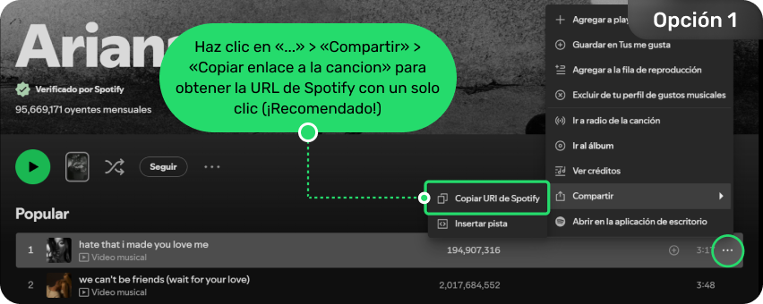 Im Web-Player