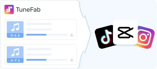 TikTok e Instagram Reels